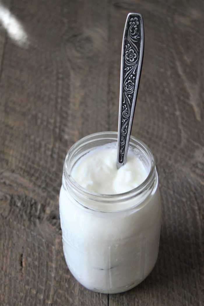 Mind Gut Connection and the importance of bacteria found in yogurt