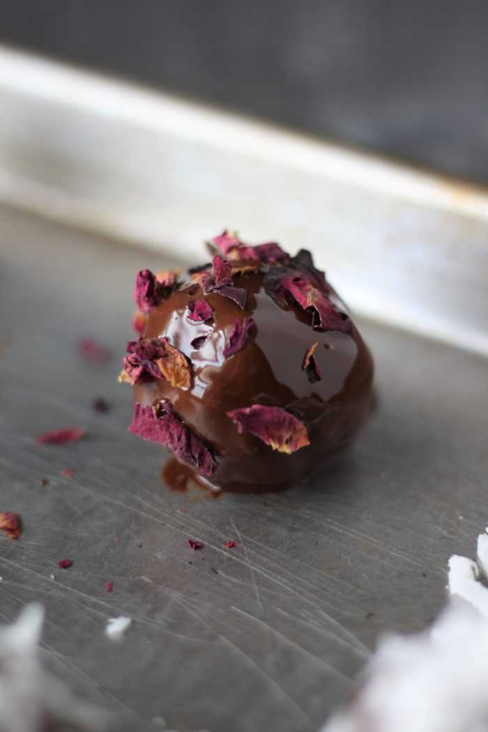 Red Rose Leaves on Stout Brownie Pop