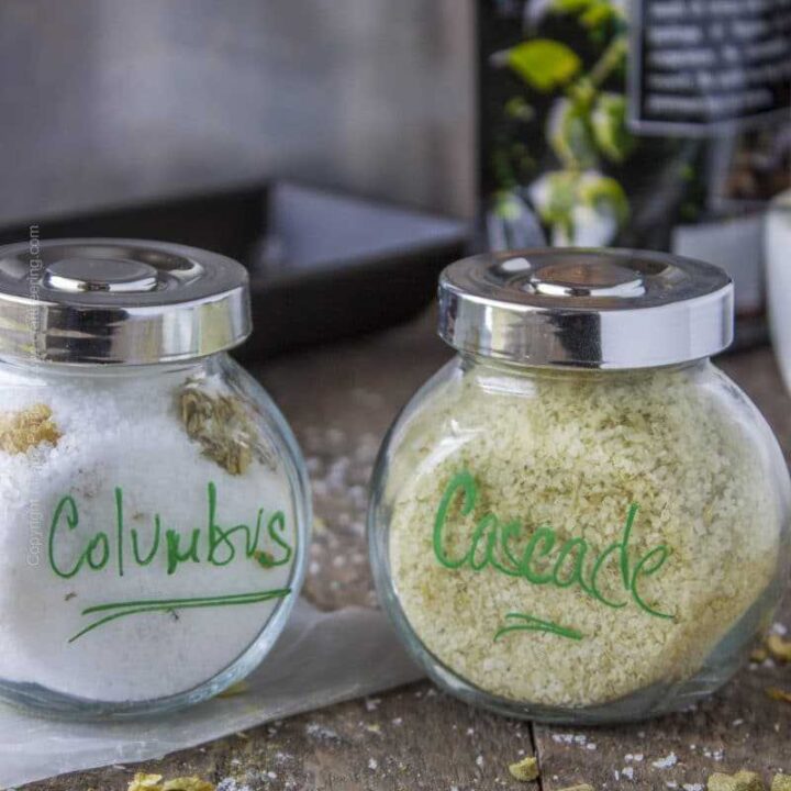 Hop Salt Jars | DIY Gifts for Beer Lovers