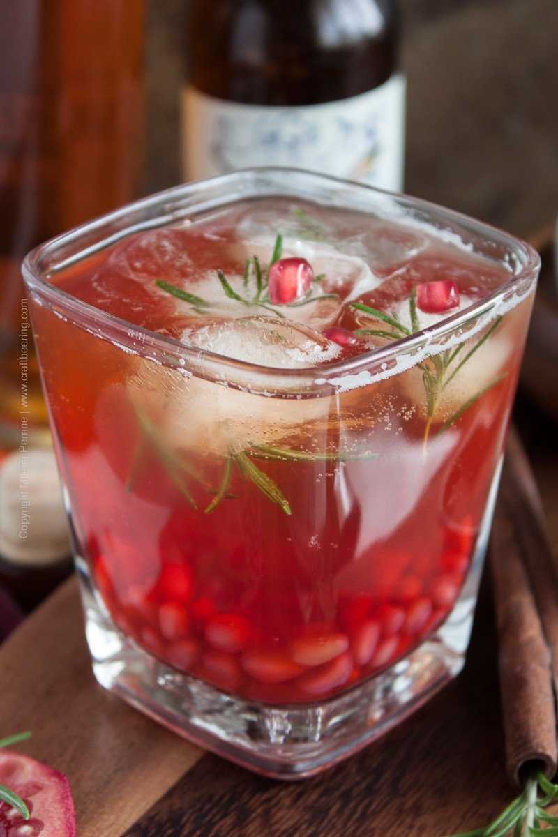 Bourbon pale ale cocktail with pomegranate