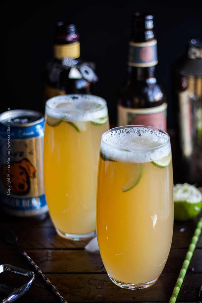 IPA Cocktail with rum and ginger beer #ipacocktail #stormyIPA #beercocktail