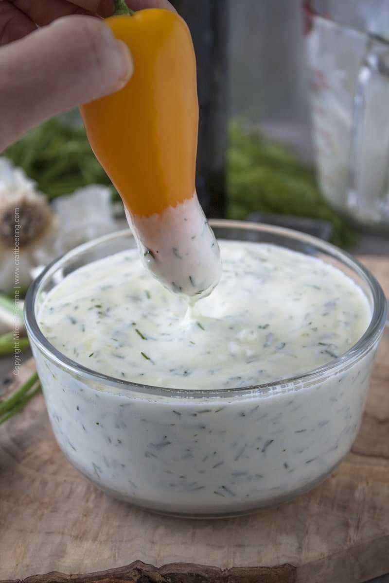 Yogurt sauce. The probiotic and prebiotic ingredients have potent health benefits. #yogurtdip #easyyogurtdip #healthydip