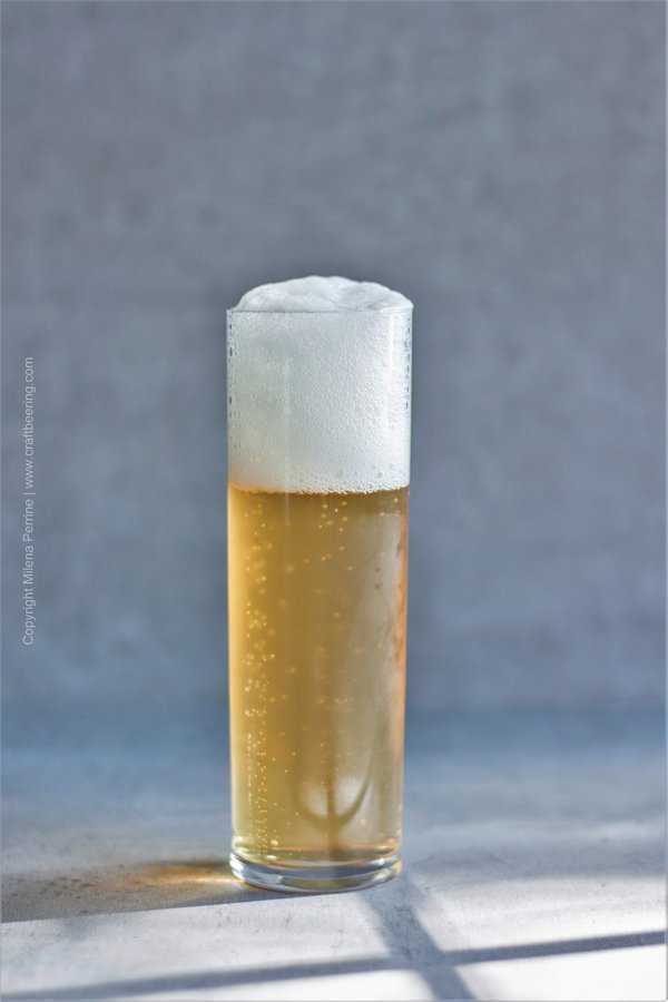 Kolsch beer in a stange glass. Crisp, light and flavored to please the senses.