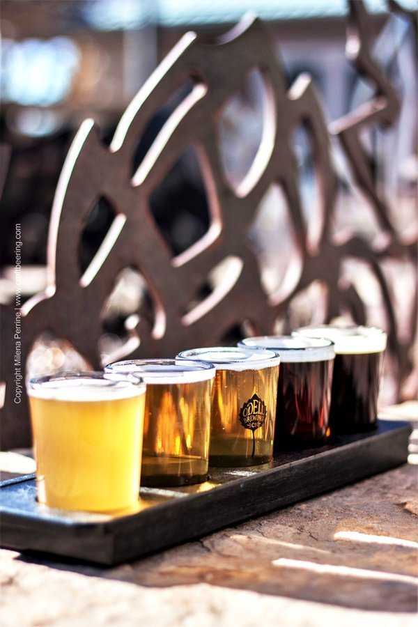 Beer tasting flight - to understand the flavor definition you must understand various sensory input such as taste, aroma, mouthfeel.