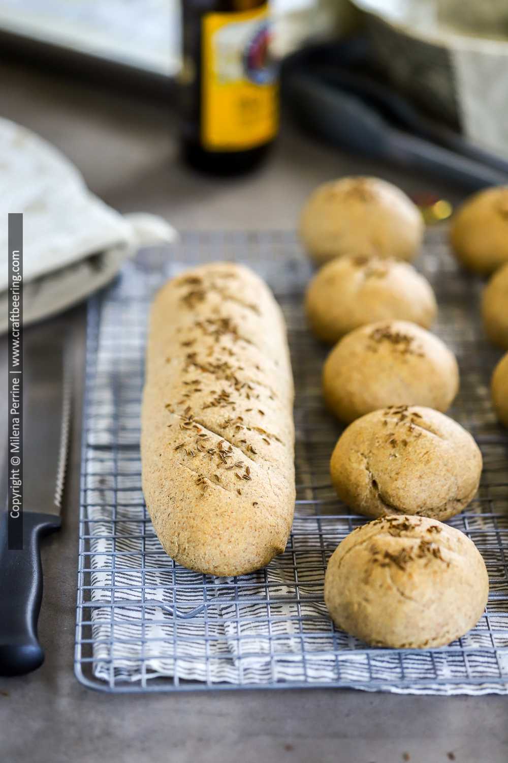 A loaf of beer bread with yeast next to bread rolls made with the same dough. 
