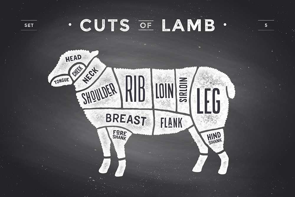 Cuts of lamb chart. 