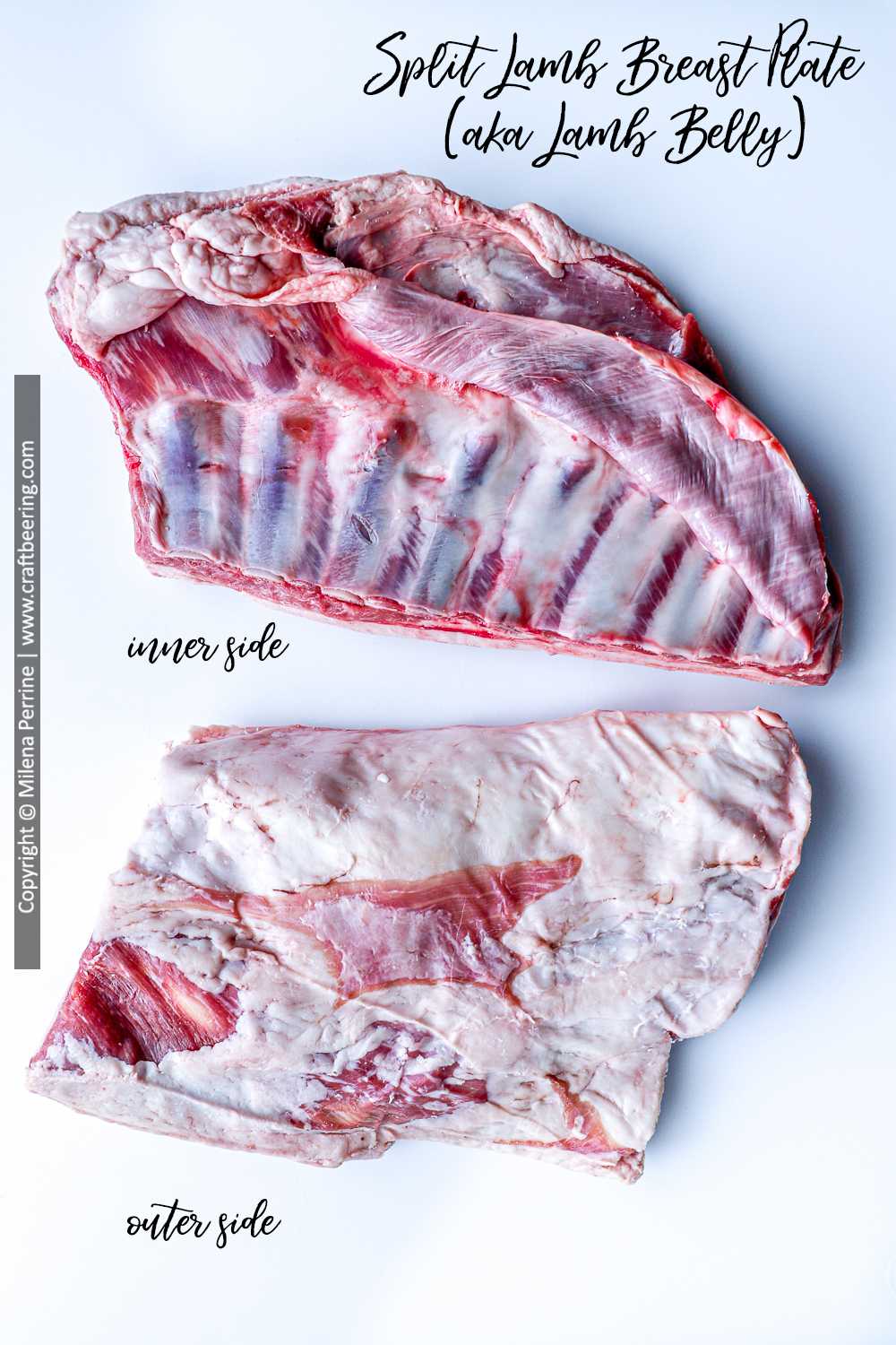 Split lamb breast plate. One side shown bone-side up.